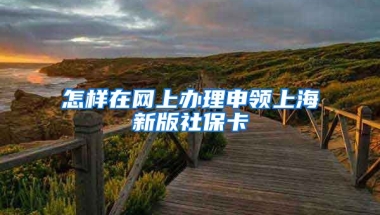 怎样在网上办理申领上海新版社保卡