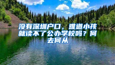 没有深圳户口，难道小孩就读不了公办学校吗？何去何从