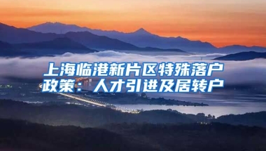 上海临港新片区特殊落户政策：人才引进及居转户