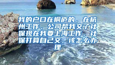 我的户口在桐庐的，在杭州工作，公司帮我交了社保现在我要上海工作，社保打算自己交，该怎么办理