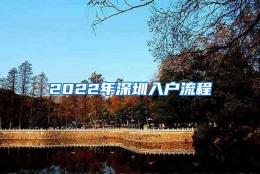 2022年深圳入户流程