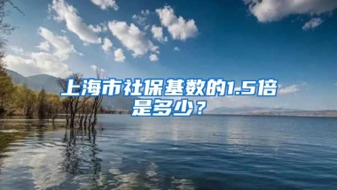 上海市社保基数的1.5倍是多少？