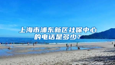 上海市浦东新区社保中心的电话是多少？