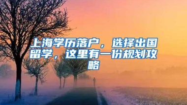 上海学历落户，选择出国留学，这里有一份规划攻略