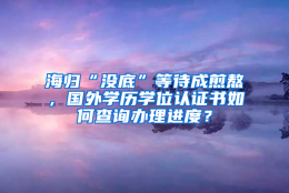 海归“没底”等待成煎熬，国外学历学位认证书如何查询办理进度？