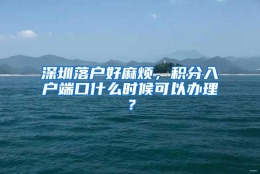 深圳落户好麻烦，积分入户端口什么时候可以办理？