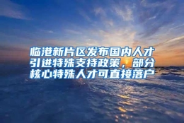 临港新片区发布国内人才引进特殊支持政策，部分核心特殊人才可直接落户