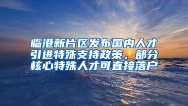 临港新片区发布国内人才引进特殊支持政策，部分核心特殊人才可直接落户