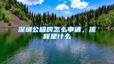 深圳公租房怎么申请，流程是什么