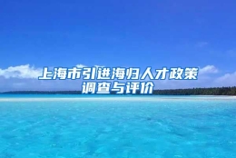 上海市引进海归人才政策调查与评价