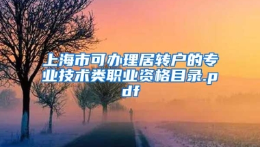 上海市可办理居转户的专业技术类职业资格目录.pdf