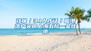 社保／3.1人才证／临港落户买房上海五险一金代缴