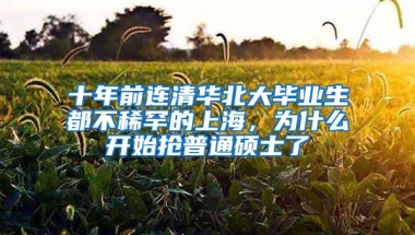 十年前连清华北大毕业生都不稀罕的上海，为什么开始抢普通硕士了