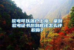 软考可以落户上海，拿到软考证书后到底该怎么评职称？