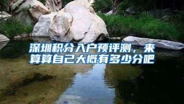 深圳积分入户预评测，来算算自己大概有多少分吧