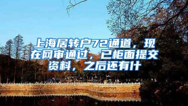 上海居转户72通道，现在网审通过，已柜面提交资料，之后还有什