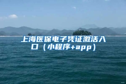 上海医保电子凭证激活入口（小程序+app）