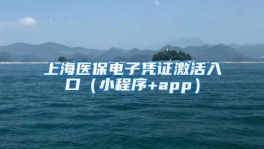 上海医保电子凭证激活入口（小程序+app）