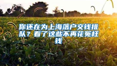 你还在为上海落户交钱排队？看了这些不再花冤枉钱