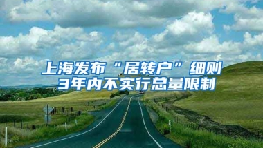 上海发布“居转户”细则 3年内不实行总量限制