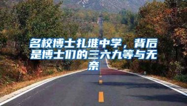 名校博士扎堆中学，背后是博士们的三六九等与无奈