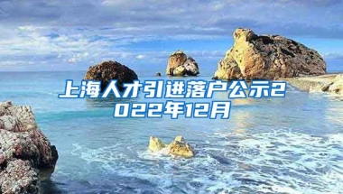 上海人才引进落户公示2022年12月