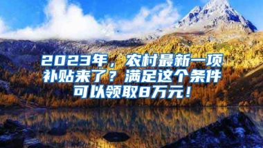 2023年，农村最新一项补贴来了？满足这个条件可以领取8万元！