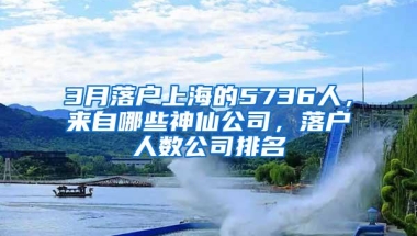 3月落户上海的5736人，来自哪些神仙公司，落户人数公司排名