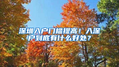 深圳入户门槛提高！入深户到底有什么好处？