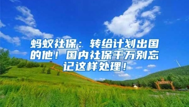 蚂蚁社保：转给计划出国的他！国内社保千万别忘记这样处理！