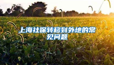 上海社保转移到外地的常见问题