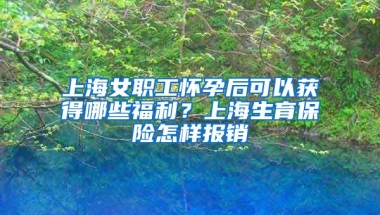 上海女职工怀孕后可以获得哪些福利？上海生育保险怎样报销