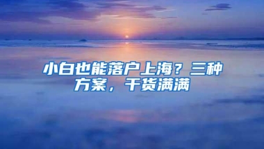 小白也能落户上海？三种方案，干货满满