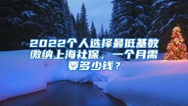 2022个人选择最低基数缴纳上海社保，一个月需要多少钱？