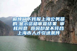 麻烦问下我报上海公务员的,显示资格审查结果 审核同意 原因却是不符合上海市人才引进条件