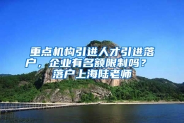 重点机构引进人才引进落户，企业有名额限制吗？ 落户上海陆老师