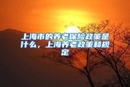 上海市的养老保险政策是什么，上海养老政策和规定