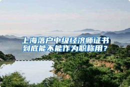 上海落户中级经济师证书到底能不能作为职称用？