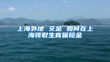 上海外地 交金 如何在上海领取生育保险金