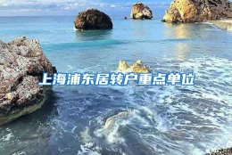 上海浦东居转户重点单位