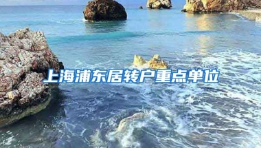 上海浦东居转户重点单位