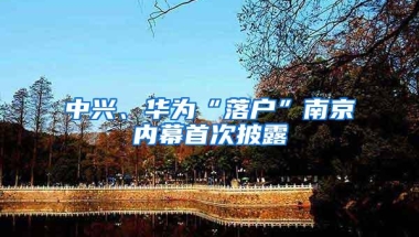 中兴、华为“落户”南京内幕首次披露