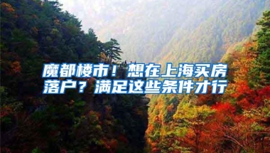 魔都楼市！想在上海买房落户？满足这些条件才行