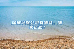 深圳社保公司有哪些，哪家正规？