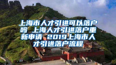 上海市人才引进可以落户吗 上海人才引进落户重新申请 2019上海市人才引进落户流程