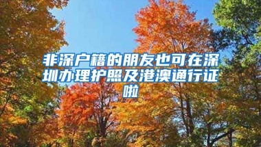 非深户籍的朋友也可在深圳办理护照及港澳通行证啦