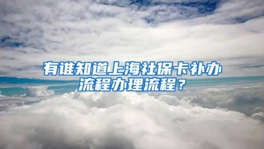 有谁知道上海社保卡补办流程办理流程？