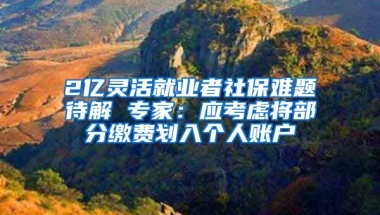 2亿灵活就业者社保难题待解 专家：应考虑将部分缴费划入个人账户