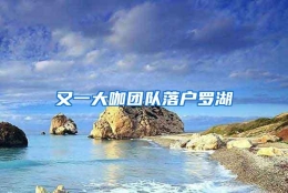 又一大咖团队落户罗湖