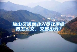 佛山灵活就业人员社保缴费怎么交，交多少元？